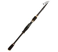Canne À Pêche Spinning Et Casting De Puissance M, Accessoire Télescopique Portable
