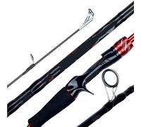 Canne à pêche Spinning et Casting en Carbone, Mini Canne Roche, 1.8/2.1/2.4/2.7/3.0m, Voyageur(Spinning 2.1m 7-30g)