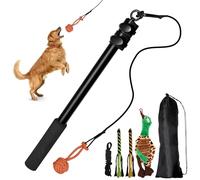 Canne à pêche stimulante professionnelle pour petits chiens - Longueur réglable - Avec corde de rechange - Anti-stress - Jouet à mâcher pour chien - Jouet à lancer