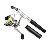 Canne À Pêche Stylo - Métal 140cm | Mini Perche De Voyage Télescopique | Matériel De Capture Portable pour Ruisseaux