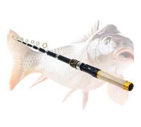 Canne à pêche télescopique, extensible, en eau salée, accessoire de pêche pour perche, rivière, eau salée et eau douce, débutants, adultes, lac en plein air