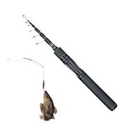 Canne à pêche télescopique Perche Extensible pour Le pêcheur