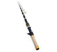 Canne à pêche télescopique - Portable et extensible - Compacte - Accessoire de pêche haute sensibilité pour pêcheurs débutants - Voyage en plein air