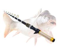 Canne à pêche télescopique pour adultes - Canne à pêche extensible pour eau salée - Équipement de pêche portable avec confort de lancer - Pour eau salée, rivière, lac, rive, bateau, kayak, pont