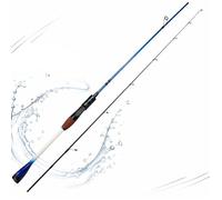 Canne a peche truite - BEARWIN - 168cm Carbone léger et haute sensibilité Scion plein protège le fil Spécial rivière et truite
