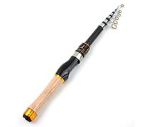 Canne à Retractable - Canne rétractable pour eau salée | Accessoires à lancer fluide pour truite, bateau, extérieur, rivage, Acq ua salé, jetée, rivière, lac, eau, adultes