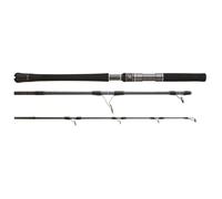 Canne bateau Hearty Rise Skywalker Jigging 220g