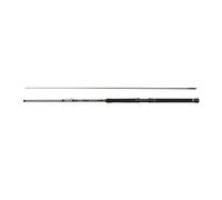 Canne bateau Penn Regiment IV Inner 20-30lb Argenté 2,43 m