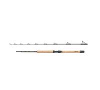 Canne bateau Penn Regiment IV Pro 20-30lb (x2) Argenté 2,10 m