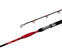 Canne carnassier Canne Delphin DANGER CatFISH | 285cm/350g/2pcs