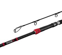 Canne carnassier Delphin RIVERA NX | 260cm/150g