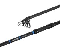 Canne carpe télescopique Delphin CAPRI Tele NXT | 360cm/180g