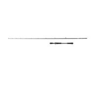 Canne casting Abu Garcia Beast X2 35-100g Noir 1,98 m