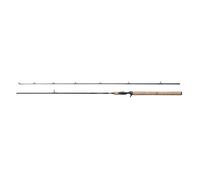 Canne casting Berkley Lightning HT II 20-60g Noir 3,35 m