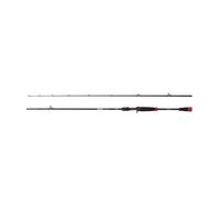 Canne casting Berkley Zilla Pike 40-110g Noir 2,54 m