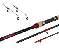 Canne Feeder Delphin LEEDER Feeder + 2 scions | 330cm/100g/3 pcs
