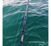 Canne Jatsui Intrepied egi