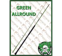 Canne Madcat GREEN ALLROUD mt 2.85 catfish 100-300gr