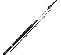 CANNE MER SHIMANO VENGEANCE STANDUP (511 - 165 - 1 - 8 - 165 - 30-50)