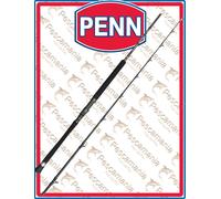 Penn Carnage Viking Edition Boat Spinning Rod Argenté 2.13 m / 30 Lbs