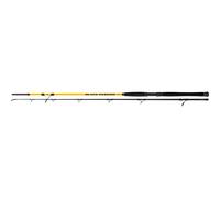 Canne spinning Black Cat Passion G2 Spin C.W Noir 2,70 m