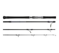 Canne spinning Hearty Rise Skywalker Exo Light 80-180g Noir 2,56 m