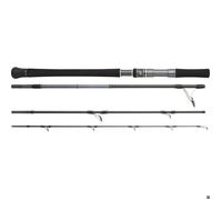 Canne spinning Hearty Rise Skywalker Popping 20-100g