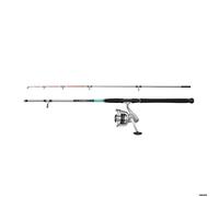 Canne spinning Mitchell Tanager 3 SW 20-80 g