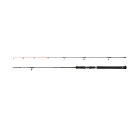 Canne spinning Penn Regiment IV Pilk 50-150g Argenté 2,40 m