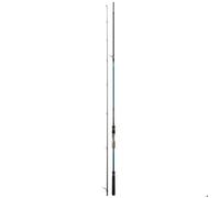 Canne surfcasting Daiwa Tournament AGS 1002 HXHFS 14-56 g