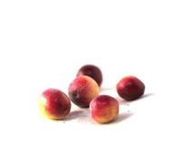 Canneberge à gros fruits, airelles, cranberry howes - pot de 1.5l