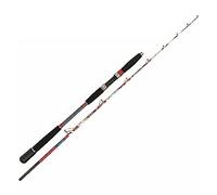 Cannes à Pêche Canne très Solide de 5 Pieds pêche à la turlutte Lente Pointe Surf coulée au Large des côtes FRP mer Dure Bateau Filature pôle(Spinning Rod)