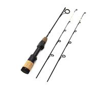 Cannes de pêche à la carpe d'hiver 58 cm Canne à pêche rotative 2 conseils Canne à pêche à la carpe canne à pêche à la carpe ultralégère