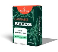 Canntropy Graines Auto Amnesia Haze (Autofloraison) 5 Pièces