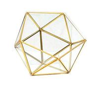 CANNXI Boîte à bijoux, terrarium en verre, boîte de rangement pour bijoux, support géométrique en verre pour plantes succulentes, pot de fleurs pour étui noir Go
