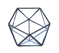 CANNXI Boîte à bijoux, terrarium en verre, boîte de rangement pour bijoux, support géométrique en verre pour plantes succulentes, pot de fleurs pour étui noir Go