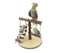 CANNXI Jouet pour oiseaux, cage à perroquets, balançoire, balançoire, fournitures debout pour pont, matériel de dressage pour perroquets