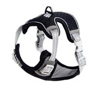 CANNXI Laisse anti-explosion pour chien, harnais et laisse pour chat pour la promenade confortable, gilet respirant réfléchissant pour