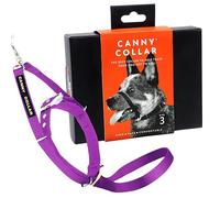 Canny Collar - Le Collier Anti-Traction de Dressage pour Chiens, Une Aide Simple et Efficace pour Le Dressage du Chien et Aide à empêcher Les Chiens de Tirer sur la Laisse, Collier de tête - Violet
