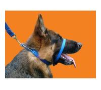 - Collier anti-traction - Chien - UTVP2006