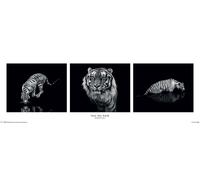 Cano, Marina - Into the Dark - Affiche mince 91,5x30,5 cm