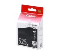 Canon 4529B001/PGI-525PGBK - Cartouche d'encre noire, 311 pages