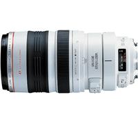 Canon EF 100-400mm | La Téléphotographie Professionnelle à Portée de Main