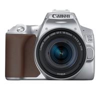 Canon EOS 250D - Appareil photo numérique - Reflex - 24.1 MP - APS-C - 4K / 25 pi/s - 3x zoom optique objectif EF-S 18-55 mm IS STM - Wi-Fi, Bluetooth - argent