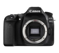 Canon EOS 80D + Objectif EF-S 18-200 mm f/3.5-5.6 EF-S IS