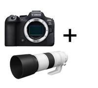 Canon Eos R6 Mark II + Canon RF 200-800mm f/6.3-9 IS USM