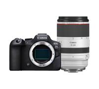Canon EOS R6 mark II + RF 70-200mm F/2.8L IS USM