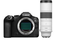 Canon EOS R6 Mark III + RF 200-800mm F/6.3-9 IS USM