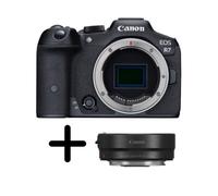 Canon Eos R7 + bague d'adaptation EF vers RF