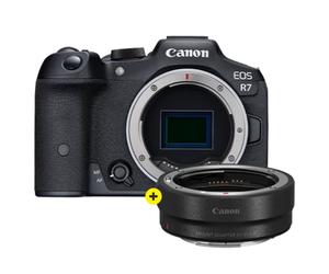 Canon EOS R7 Boitier NU + bague dadaptation EF-RF